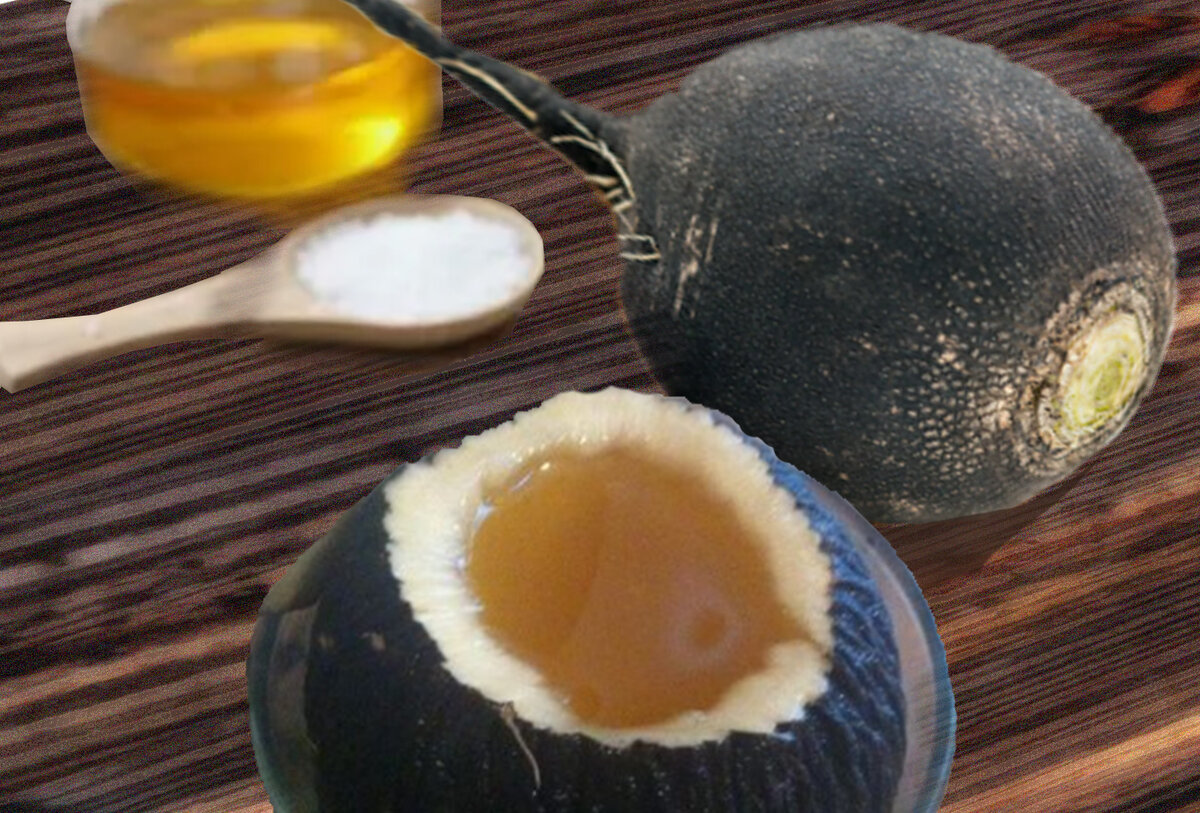 Черная редька с медом
