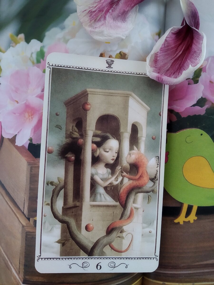 6 кубков Таро Николетта Чекколи