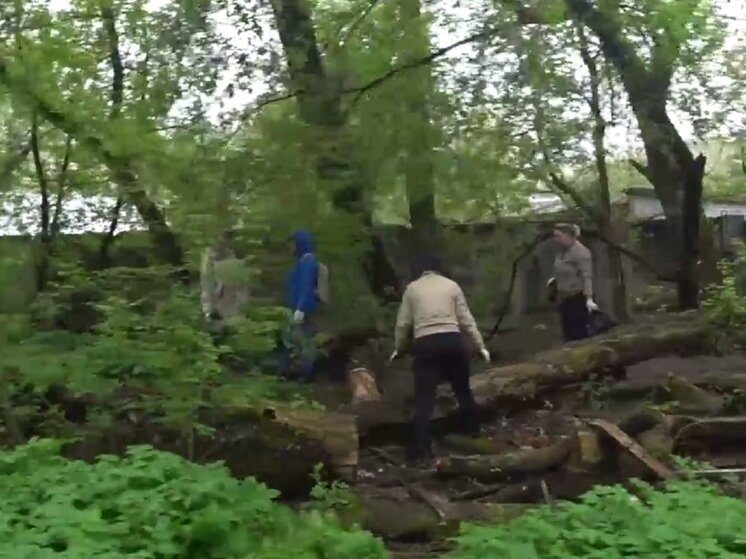     Скрин видео Дмитрия Денисова