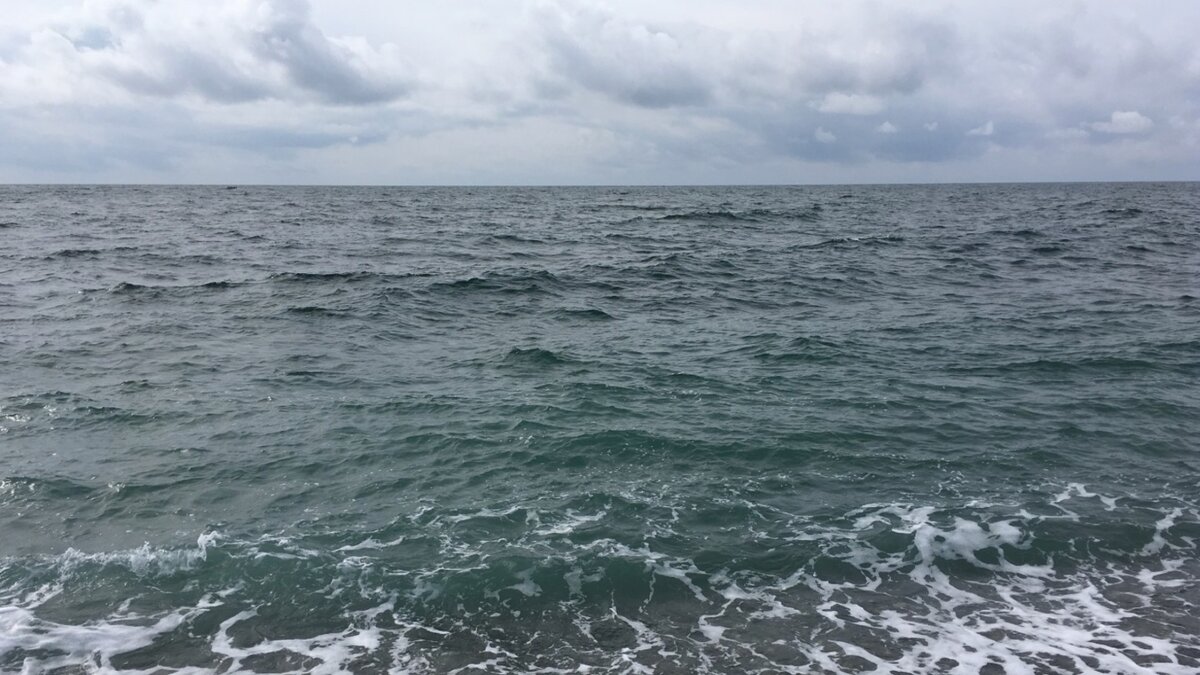     Источник: 1MI