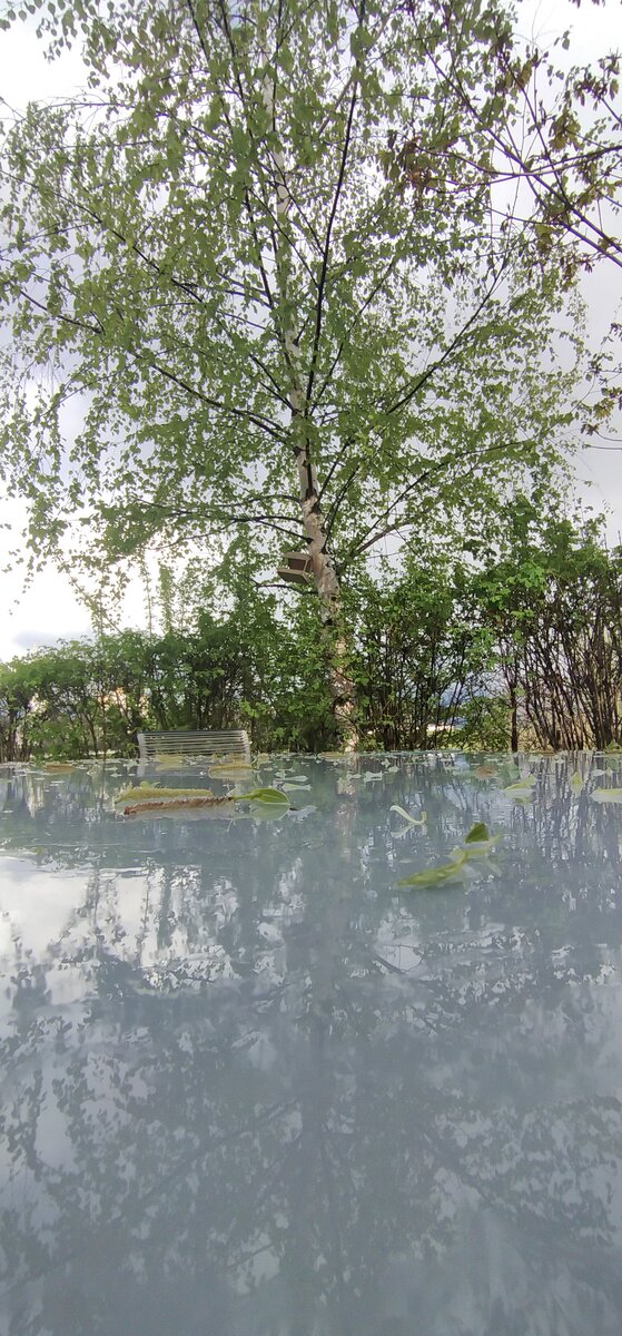 Личное фото