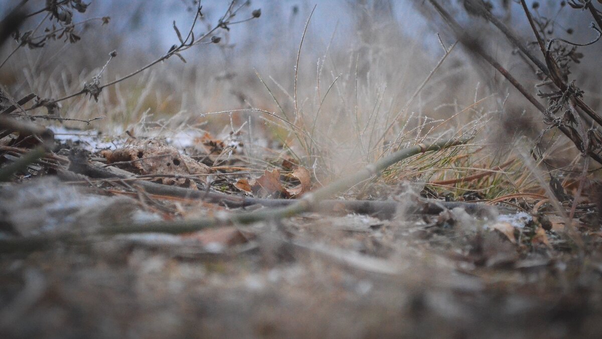     Источник: 1MI