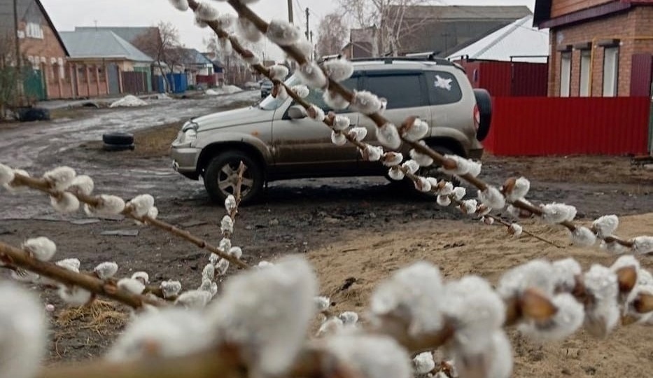 Существенные изменения в правила по вождению с 1 апреля 2024: лишённых прав за алкогольное опьянение не допустят к сдаче теории