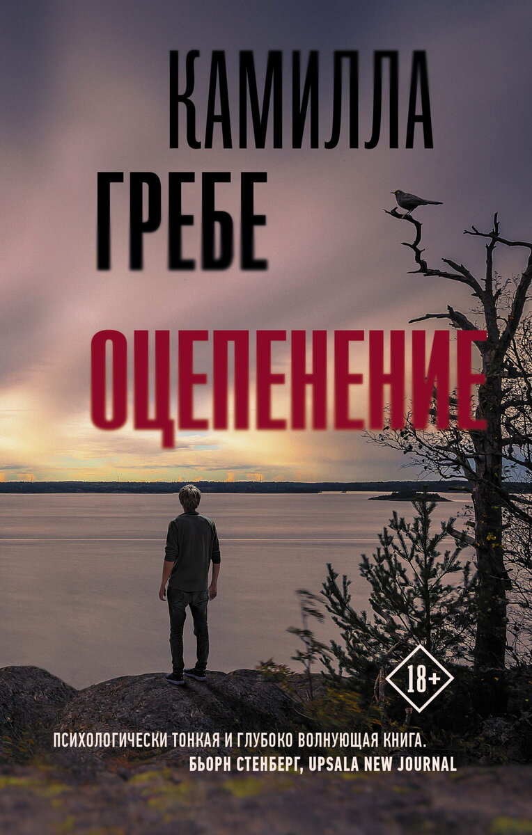 Обложка книги: "Оцепенение" | Камилла Гребе | Взято из свободного доступа ya.ru 