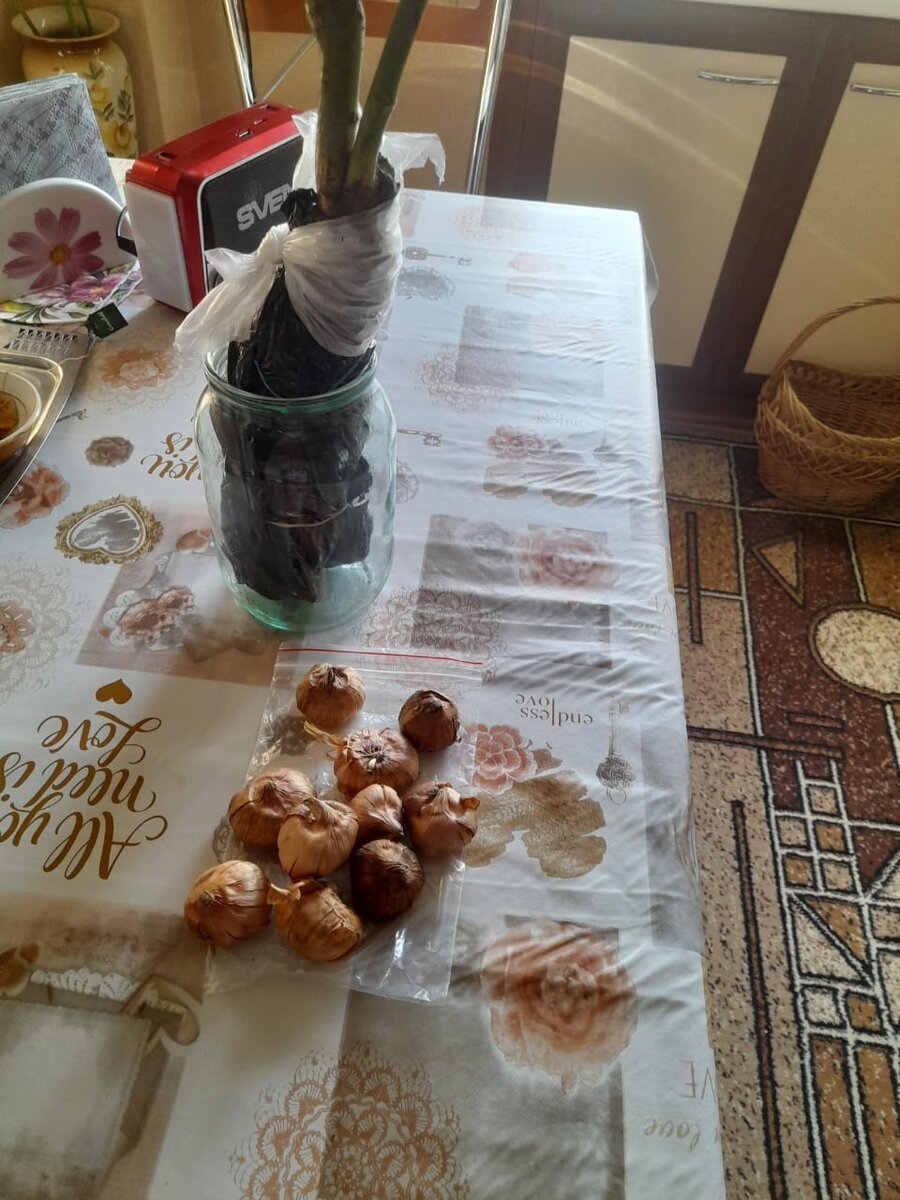 Фото из личного архива.