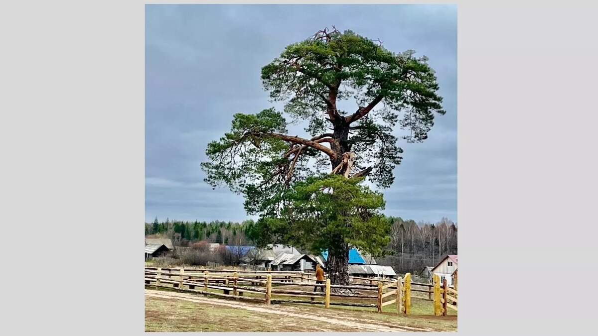     Источник: пресс-служба главы и правительства УР