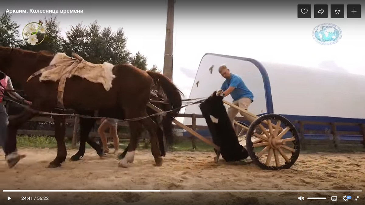 Ебет лошадь Фейкомёт Семьяна. | История от историка | Дзен