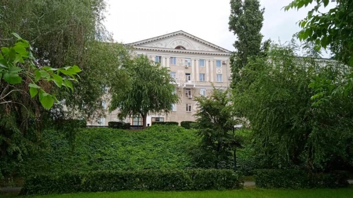    Власти прокомментировали ситуацию с клещами в парках СаратоваНовости Саратова и области – Сетевое издание «Репортер64»
