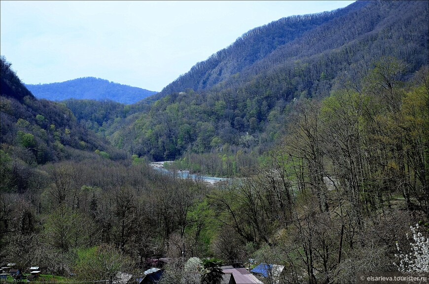 © Елена Сариева