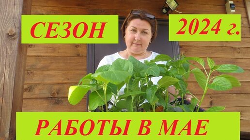 Посевы и посадки в мае. Что еще можно посеять и какие работы производить весной.