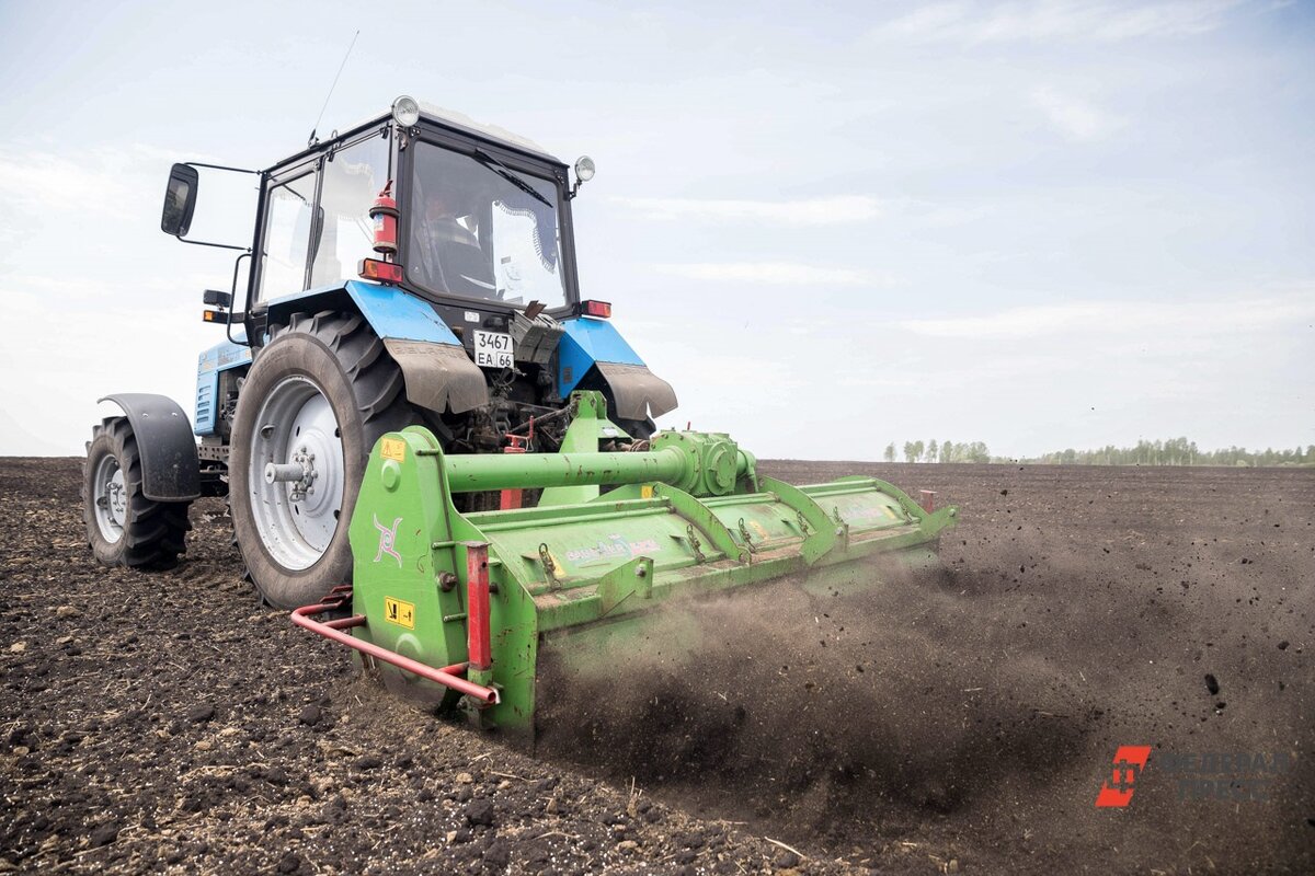 В 2024 году в России увеличится вся посевная площадь.  Фото: ФедералПресс / Евгений Поторочин