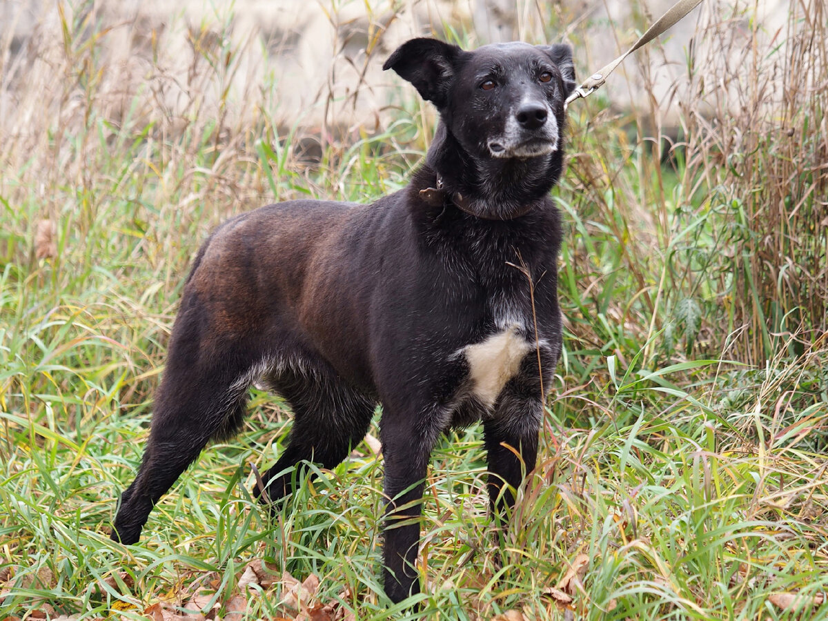 Милки Вэй, дочь Шоколадки-2