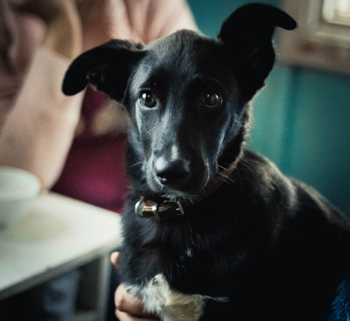 Милка маленькая