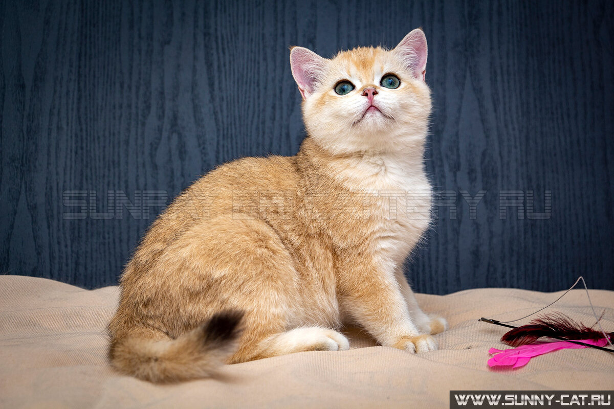 Возраст на фото: 4 месяца 4 дня