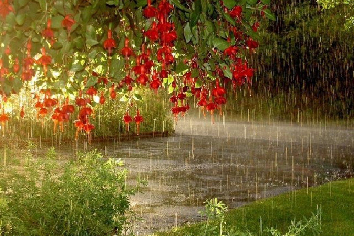 Все мы чистильщики, если разобраться. Поговорим об энергии между людьми