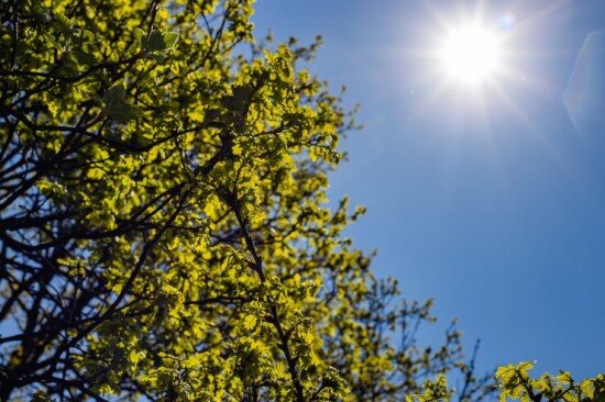    Фото: ru.freepik.com