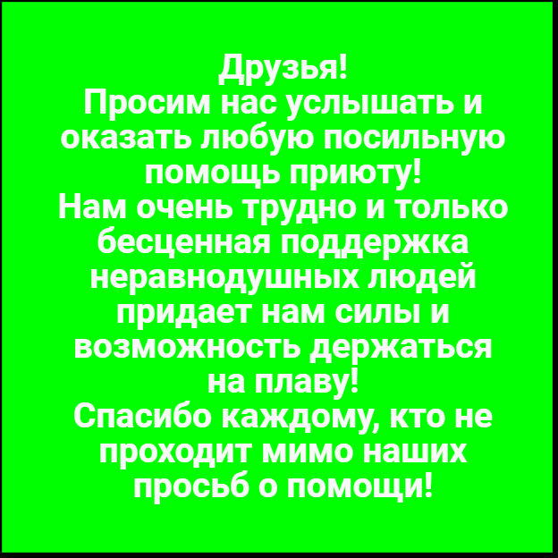 Друзья! К великому сожалению никак у нас не получается жить без долгов... Итого: 67991 руб. 08 коп.
Очень просим помощи и участия!
Любую сумму можно перевести на реквизиты приюта.