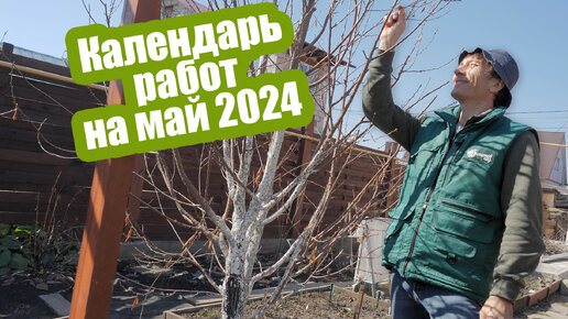 Лунный календарь огородника на май 2024. Что посадить в мае