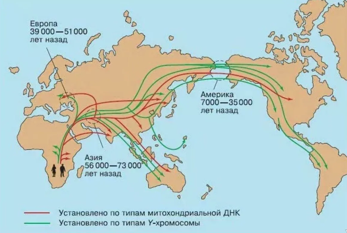 Карта расселения человека. Миграция хомо сапиенс из Африки карта. Расселение кроманьонцев из Африки. Расселение народов из Африки карта. Карта миграции хомо сапиенс.