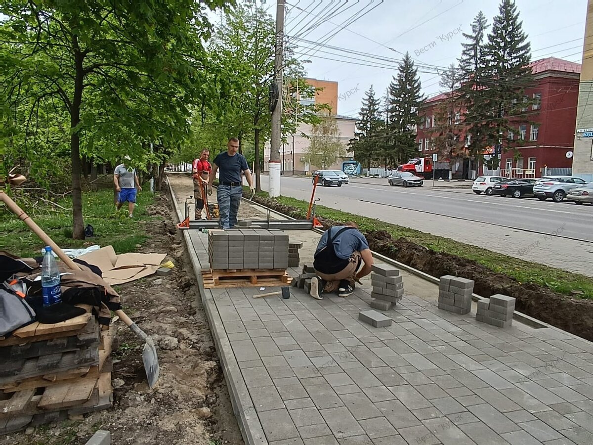    В парке Героев Гражданской войны в Курске приостановили вырубку деревьев