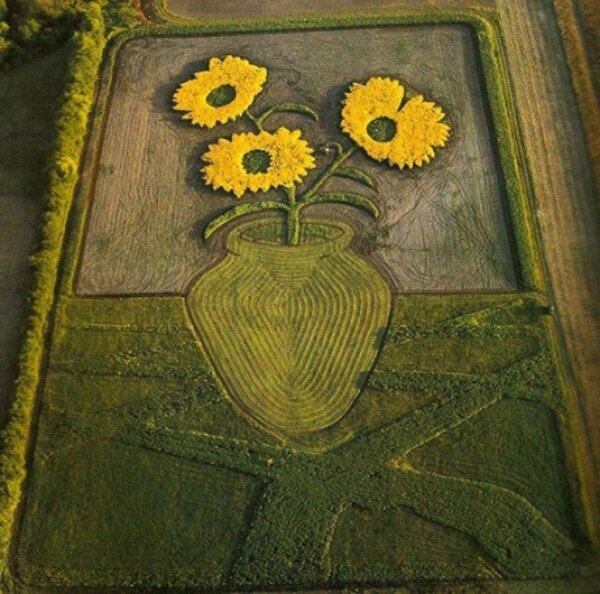 фото из Яндекса