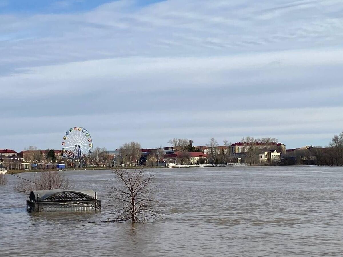    Река Ишим в Тюменской области© РИА Новости