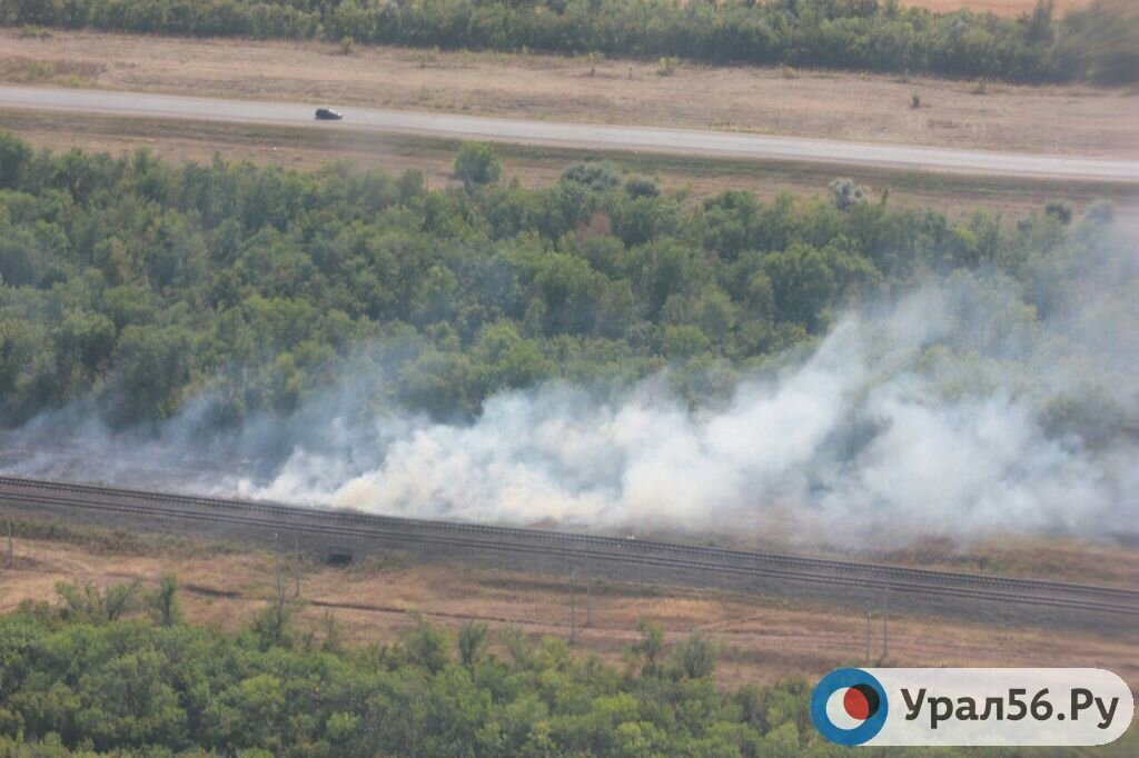    В лесах Оренбургской области установят 19 камер стоимостью почти 8 млн рублей для мониторинга пожаров
