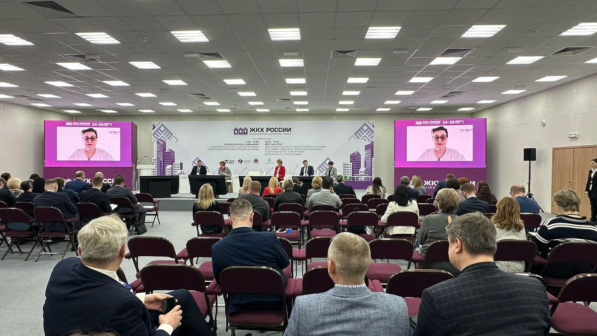 Трансляция доклада Ирины Булгаковой, фото ТГ-канала «Совет ЖКХ»