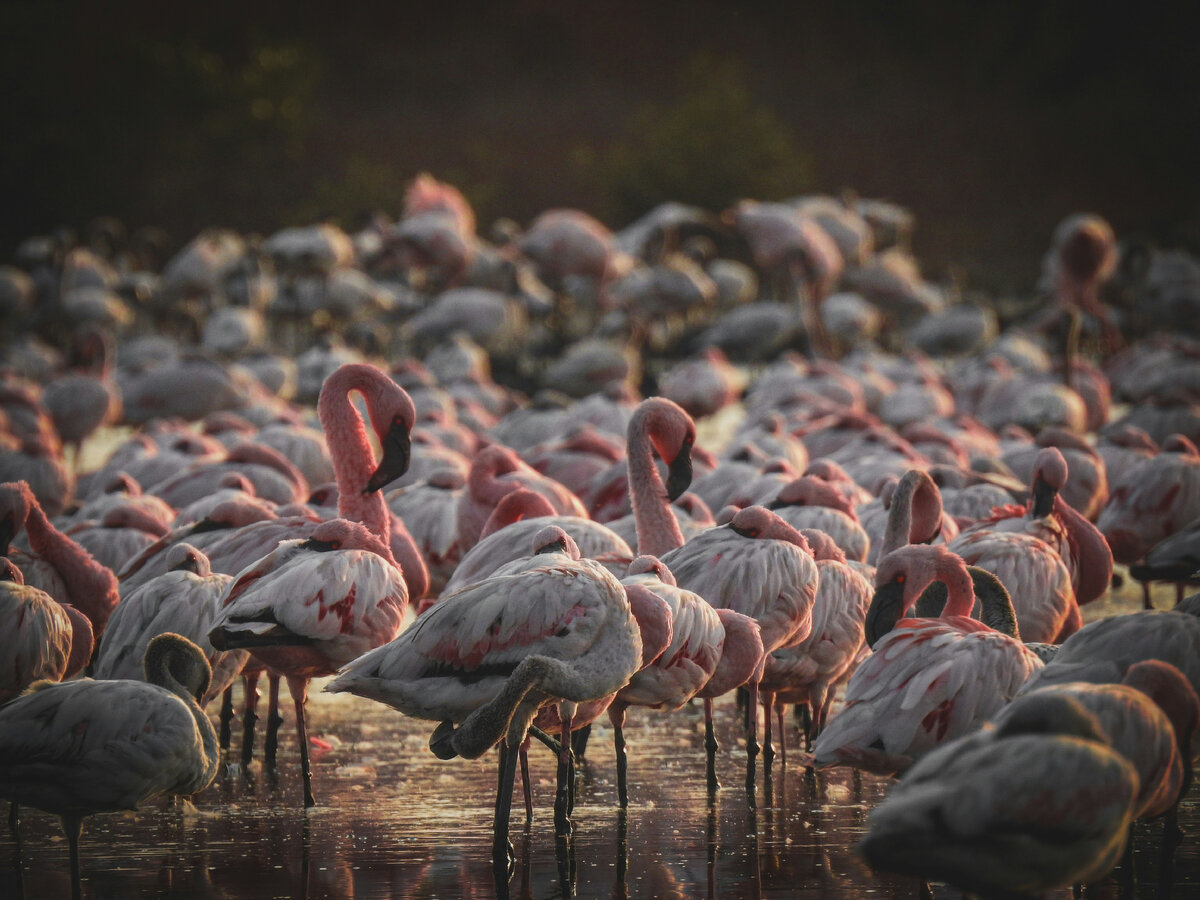 Картинка с бесплатного фотостока https://unsplash.com, автор Gaurav Patil