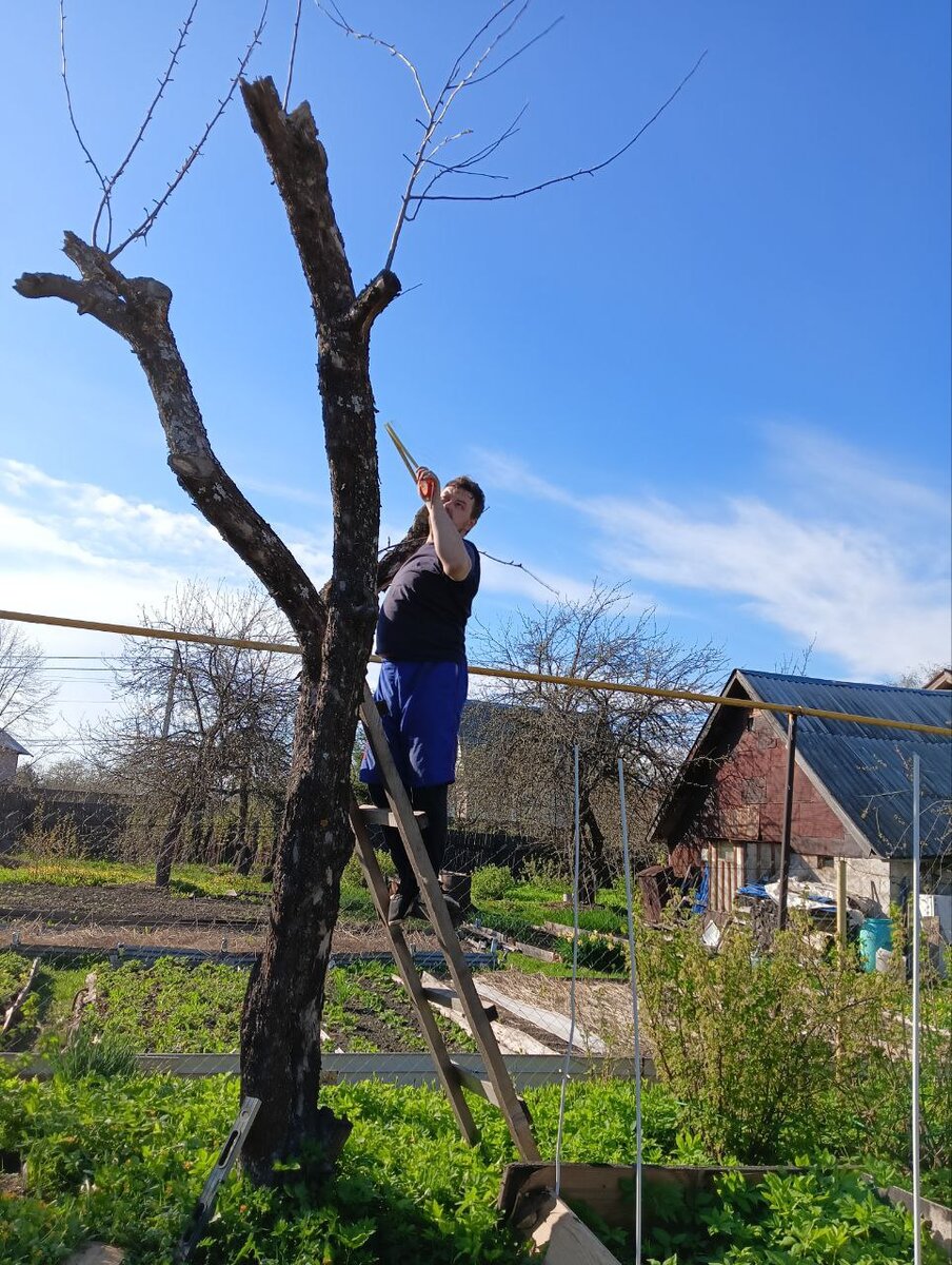 Началась примерка 