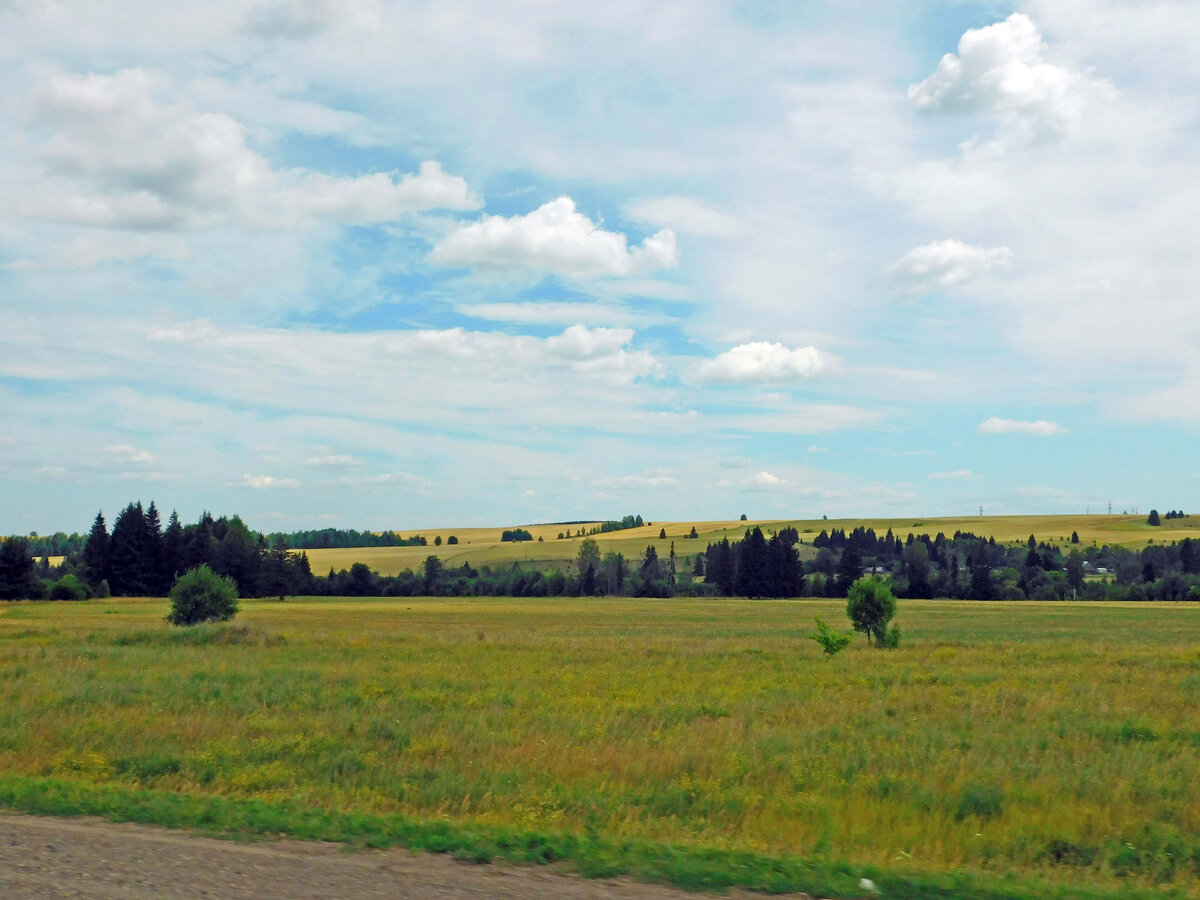 Удмуртия, окрестности Ижевска, июль 2021 г. Фото автора.