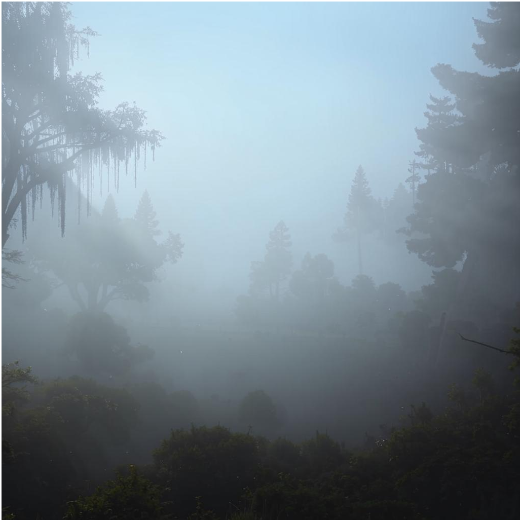 Изображение сгенерировала нейросеть Kandinsky.