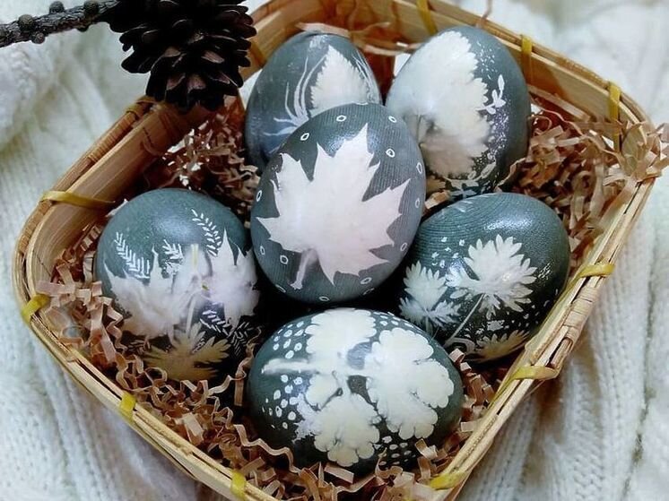     Фото читательницы МК в Рязани