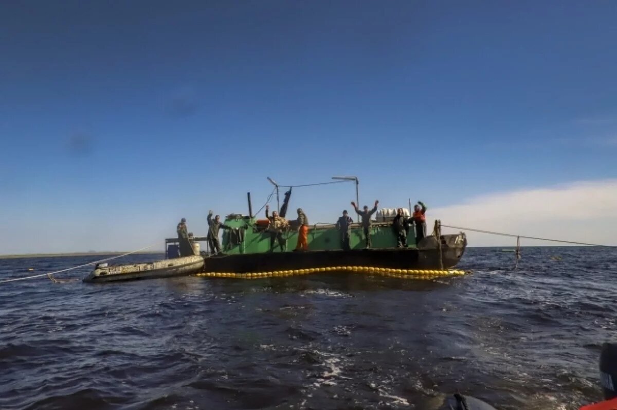    На Камчатке прогнозируют выловить в три раза меньше горбуши, чем в 2023 г.