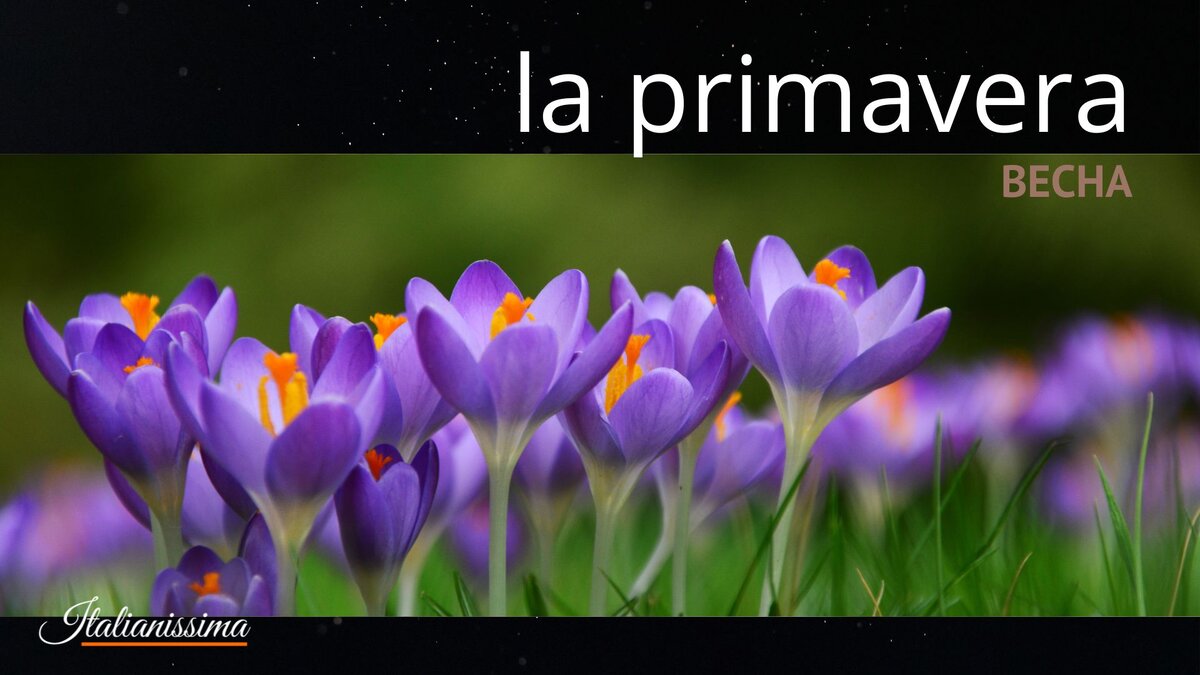 Primavera