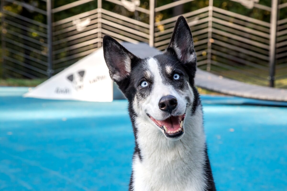Фото: архив «Мой район»