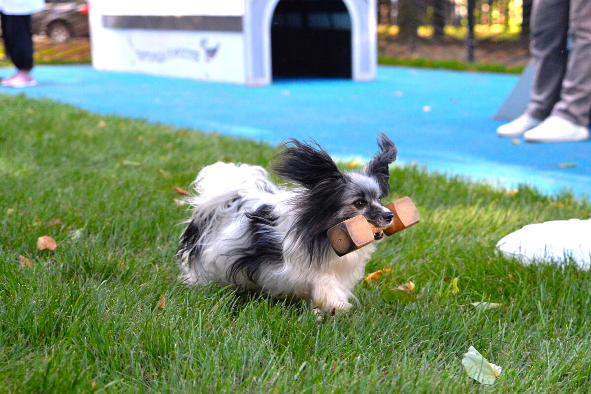 Фото: архив «Мой район»  
