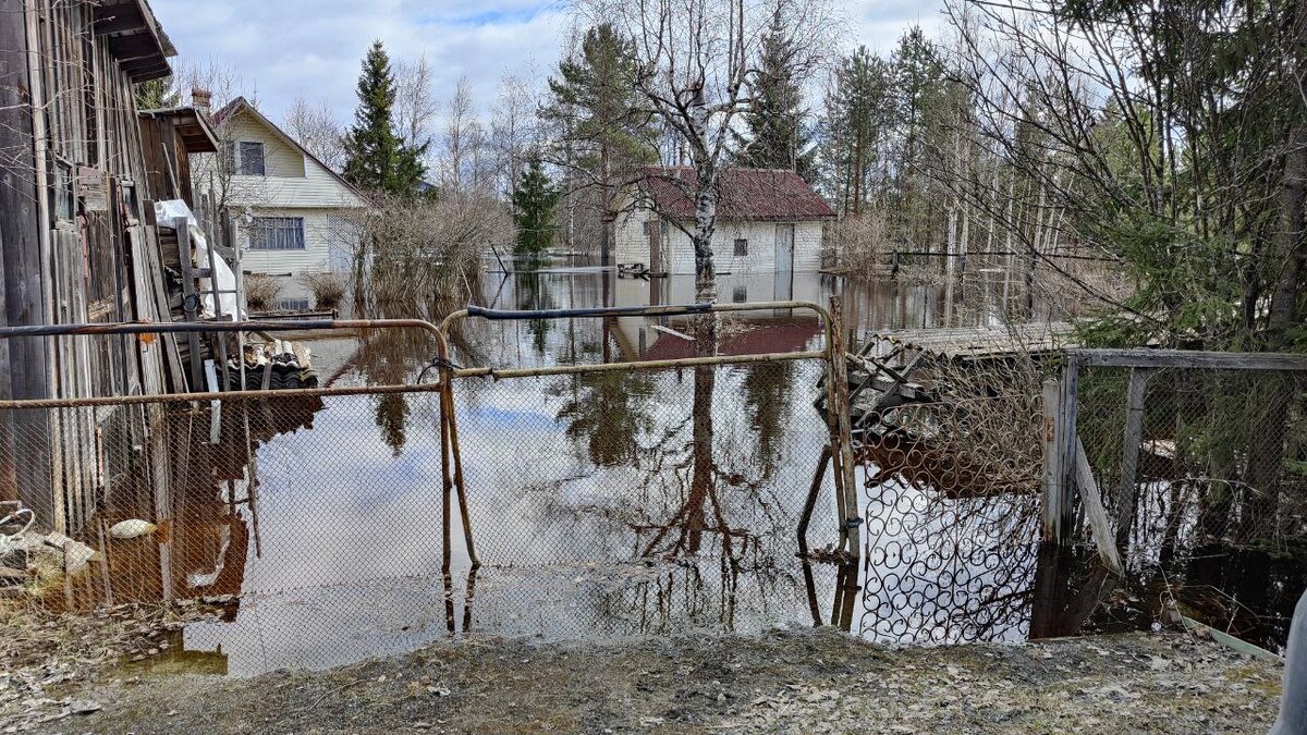 Весна на Заречной улице. Жители посёлка Чална в Карелии спасают дома и вещи  от паводка | Карелия.Ньюс. Новости Петрозаводска | Дзен