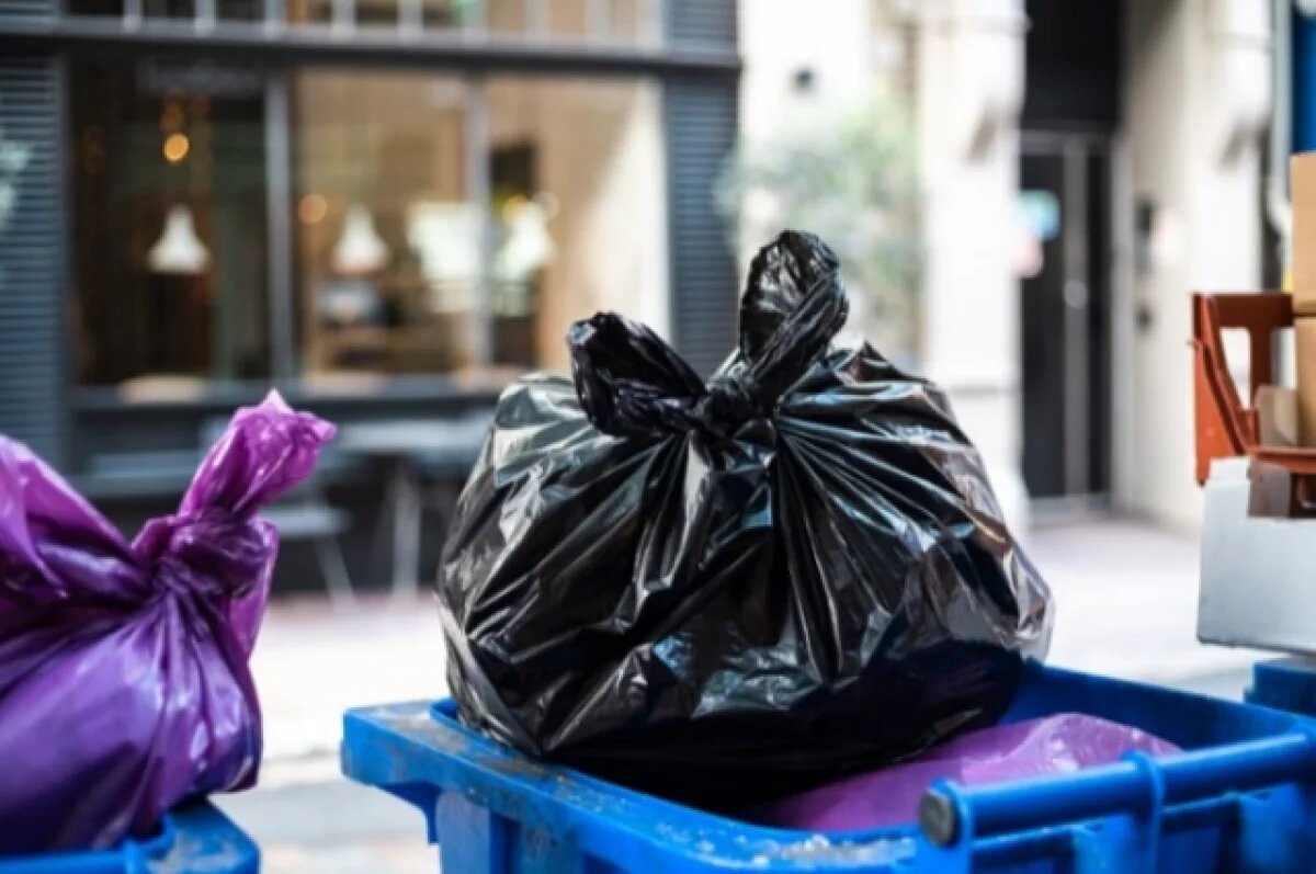    В Новокузнецке установят фотоловушки на контейнерных мусорных площадках