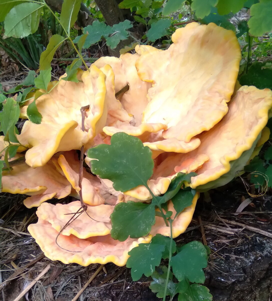 Автор фото Игорь Иванов