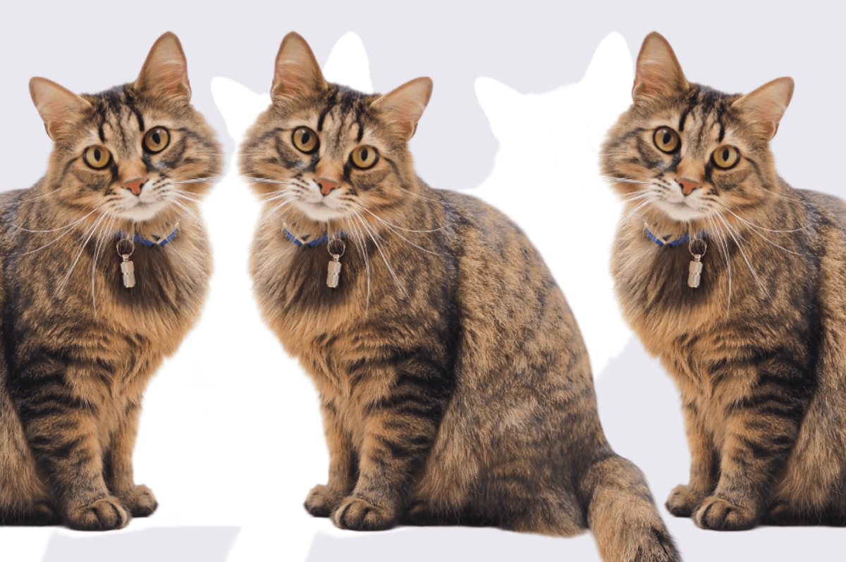    Фото: Unsplash, архив пресс-службы