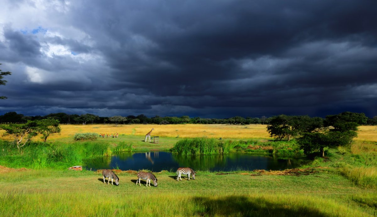 Танзания, Кения, ЮАР, Намибия и Зимбабве — пятёрка ведущих стран Африки для сафари-туров.-5
