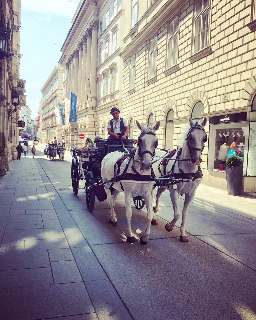 Венские экипажи. По Вене можно прокатиться и в карете.