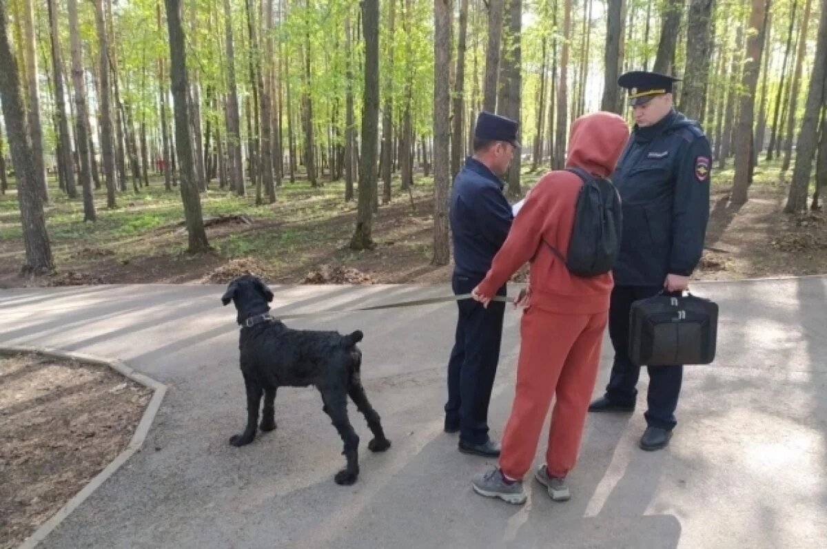    В Уфе начали штрафовать владельцев собак за выгул без поводка и намордника