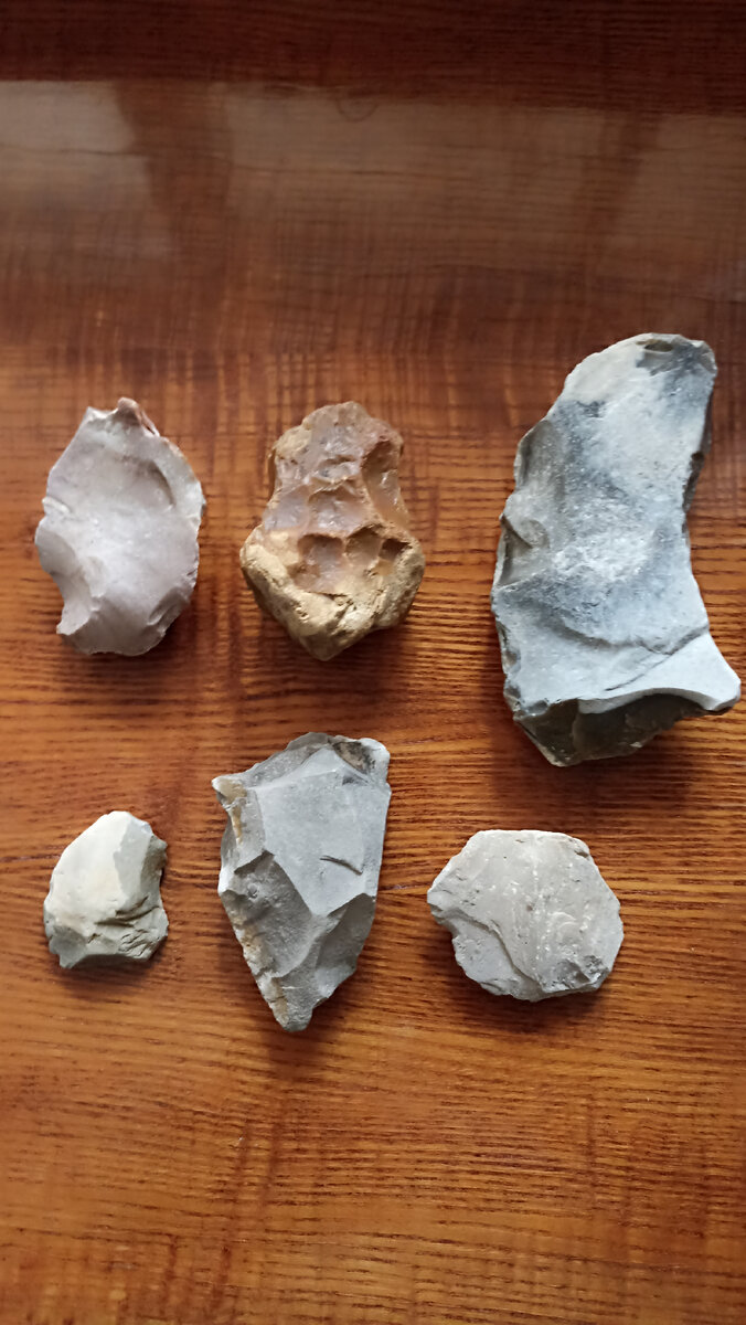 Мои находки сделанный весной 2024 года в Подмосковье. Фото автора.