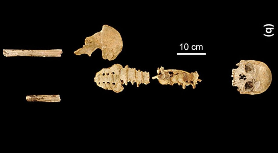  Junyi Ge et al. / Nature Communications, 2024