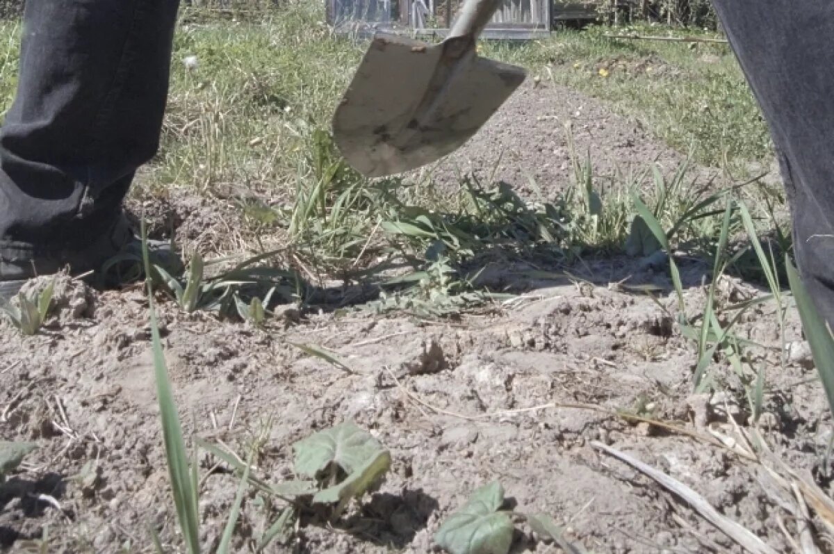    Водитель привёз его в лес к кладбищу. Затем он заявил, что мужчина обижает свою жену и заставить рыть могилу