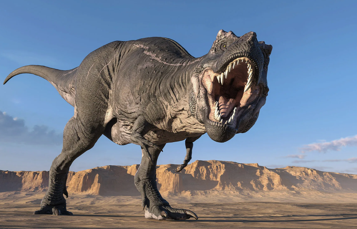 Тираннозавр Рекс (Tyrannosaurus rex)