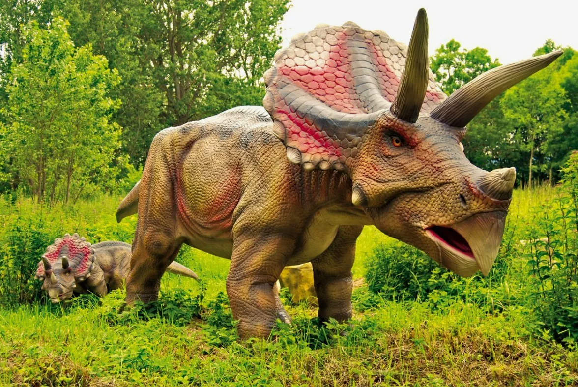 Трицератопс (Triceratops)