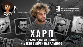 Тюрьма, из которой не выходят: «Полярная сова» | Где сидят маньяки и как отбывают пожизненный срок